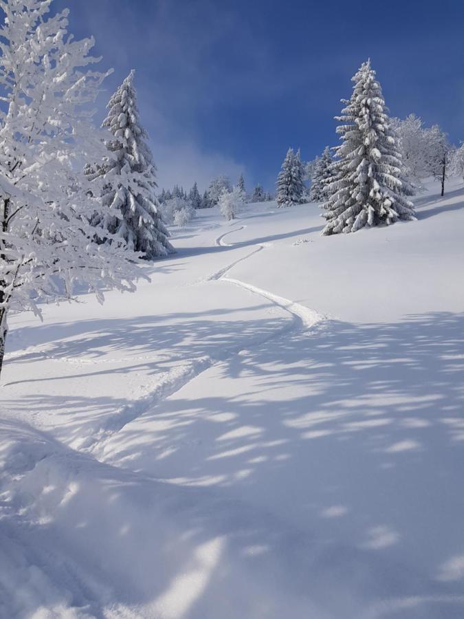 Ferienwohnung Grenzblick Oberwiesenthal Exteriör bild