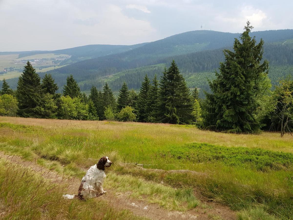 Ferienwohnung Grenzblick Oberwiesenthal Exteriör bild